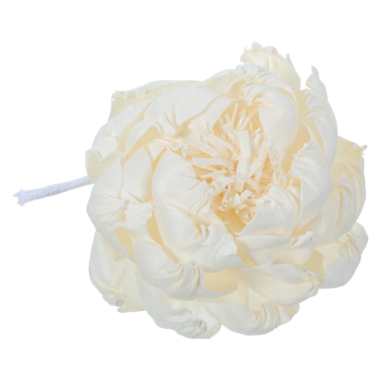 Diffuser Aroma Bunga Peony 12C - Home Fragrance Usa ulasan dan harga