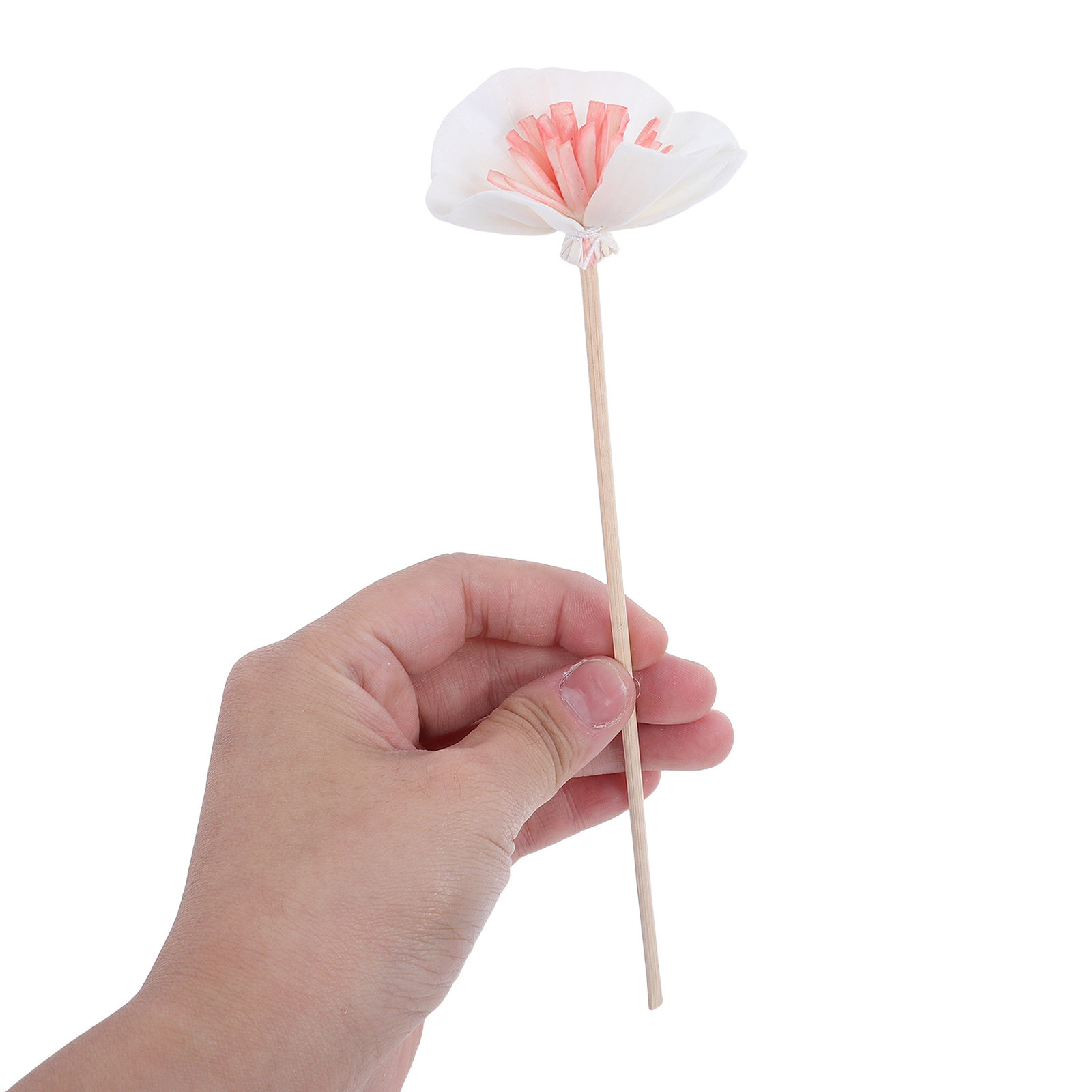 10 buah Stik Pengharum Ruangan - Home Fragrance Usa ulasan dan harga