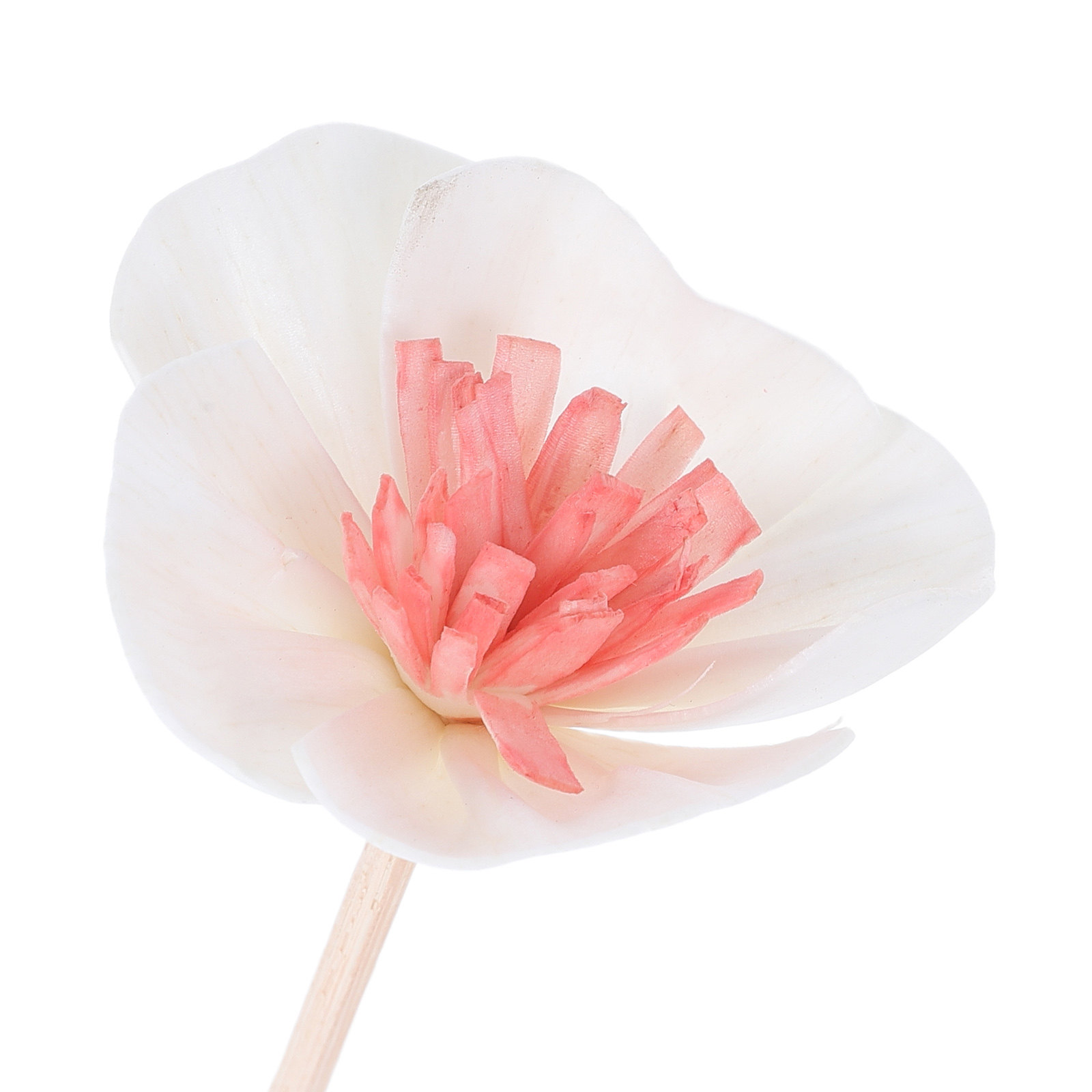 10 buah Stik Pengharum Ruangan - Home Fragrance Usa ulasan dan harga